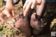 A woman in black pantyhose is putting on her feet.